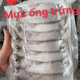 Mực ống trứng