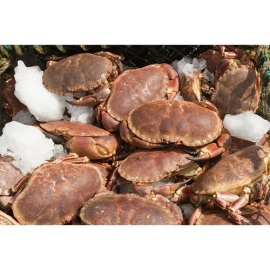 Cua nâu Nauy nhập khẩu