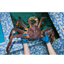 Cua Kingcrab nhập khẩu