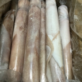 Mực ống đông lạnh