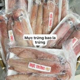 Mực Trứng