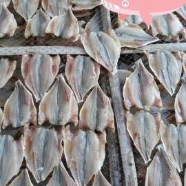 Cá dù xẻ 1 nắng