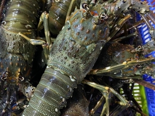 Mách bạn TOP 10 vựa hải sản Gò Vấp tươi ngon giá rẻ